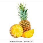 伊人久久大香线蕉av不变影院 03yj2zejr3