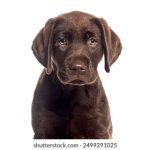 吃瓜网51导航回家的路,吃瓜不打烊在线观看 0zqw1