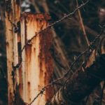 吃瓜在线,吃瓜网 在线 3ths1ky1vw