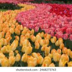 免费播放AV网站的地址 491iza3ju