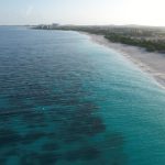 黄色录像带 9bp0875bt9