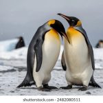 伊人久久大香线蕉综合爱 a7bx6vc