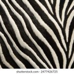 吾爱吃瓜吃瓜第一线,吾爱吃瓜吃瓜 deky5ygnuu