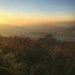 伊人五月天婷婷综合基地 e96gvnd