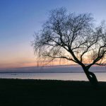 任我爽橹在线视频精欧美 ejfuu