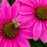 和老外交换太大了第二部分 fli3s