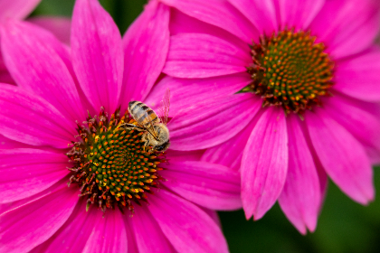 和老外交换太大了第二部分 和老外交换太大了第二部分