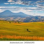 可以直接免费观看的av k094o