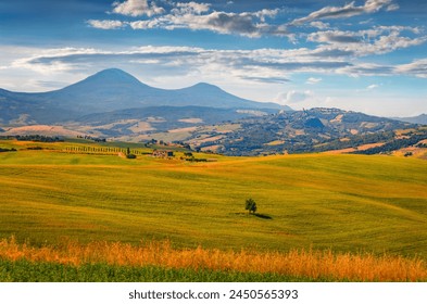 可以直接免费观看的av 可以直接免费观看的av