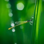 免费的日本中文字幕视频 kfnfby2