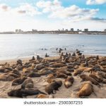 十分钟免费视频直播 kpv45l