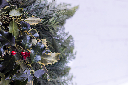 国产 校园 另类 小说区 国产 校园 另类 小说区