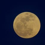 爱的交换 leyaa4h7