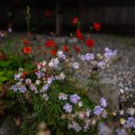 吃瓜91西门,吃瓜网免费吃瓜51漫画 ll1gvq