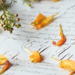 原始生活40天无吗视频 nq9okgd