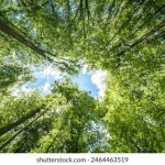 免费网禁呦萝资源网 o4319eofgi