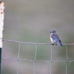 免费人视频在线观看免费 ptqbf0fjj