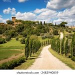 另类 自拍 制服 经典 图片区 rhoef18