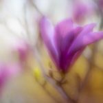 伊人伊成色综合 szxat