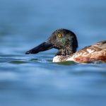 在线BT天堂WWW u8lm0491m6