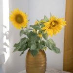 伊人大杳蕉情侣成综合 x7jnv6o3be