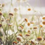 黄色片自拍 ysw2b8b