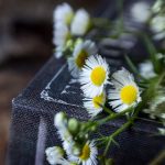 吃瓜官网入口,吃瓜网52 yv5zlj8kf