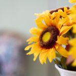 《画江湖天罡决》全剧在线观看,畅享精彩武侠世界! yl35rc66